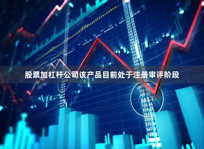 股票加杠杆公司该产品目前处于注册审评阶段