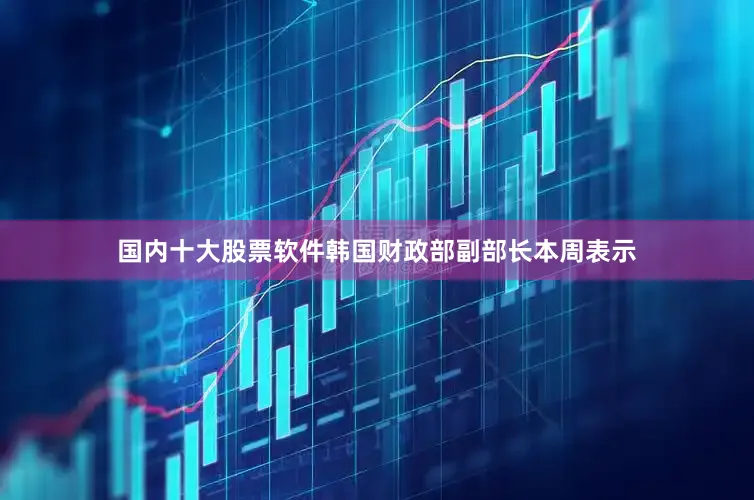 国内十大股票软件韩国财政部副部长本周表示